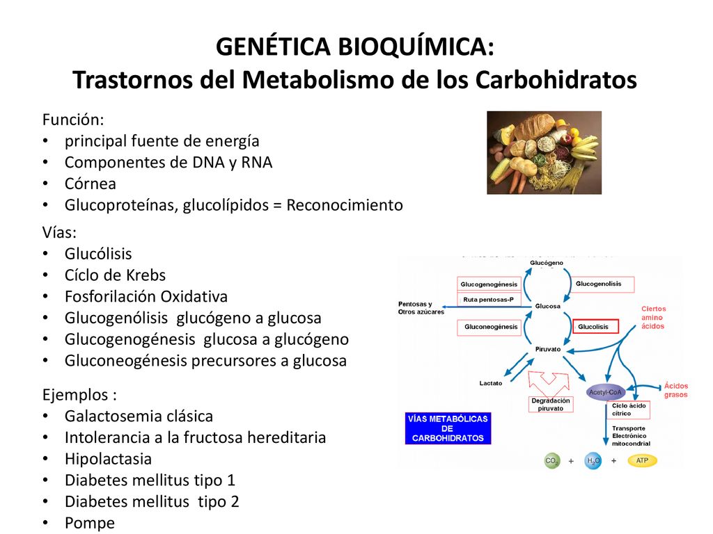 trastornos del metabolismo del piruvato diabetes trastornos del metabolismo del piruvato diabetes